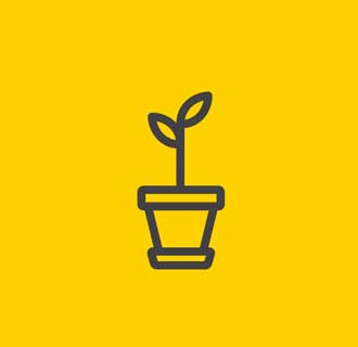 Magnolia sustainability