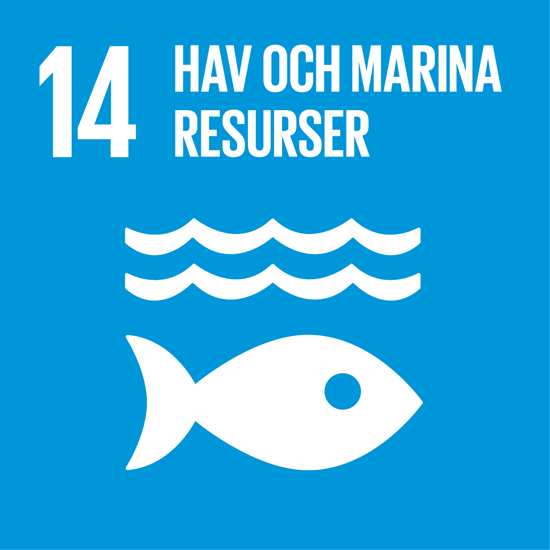 sustainable hav och marina resurser