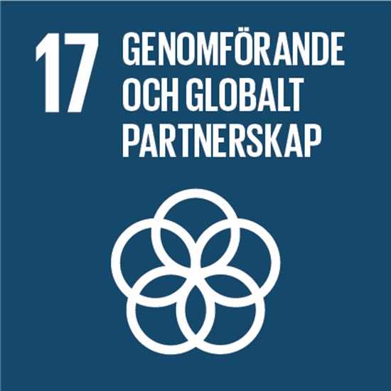 goal 17 Genomförande och globalt partnerskap