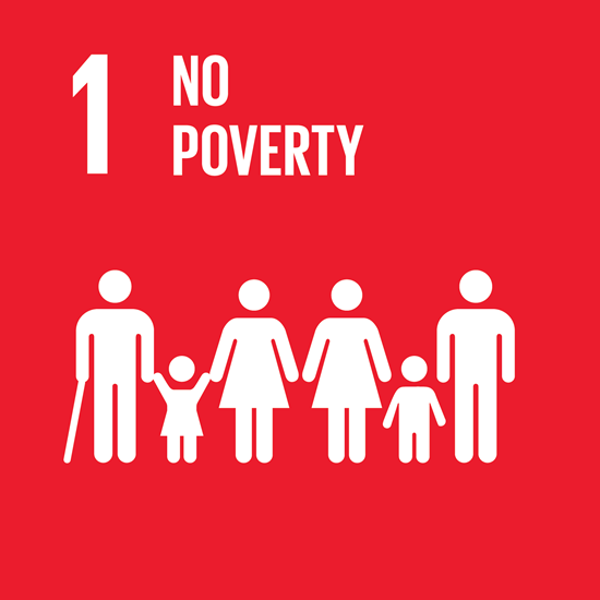 sustainable no poverty